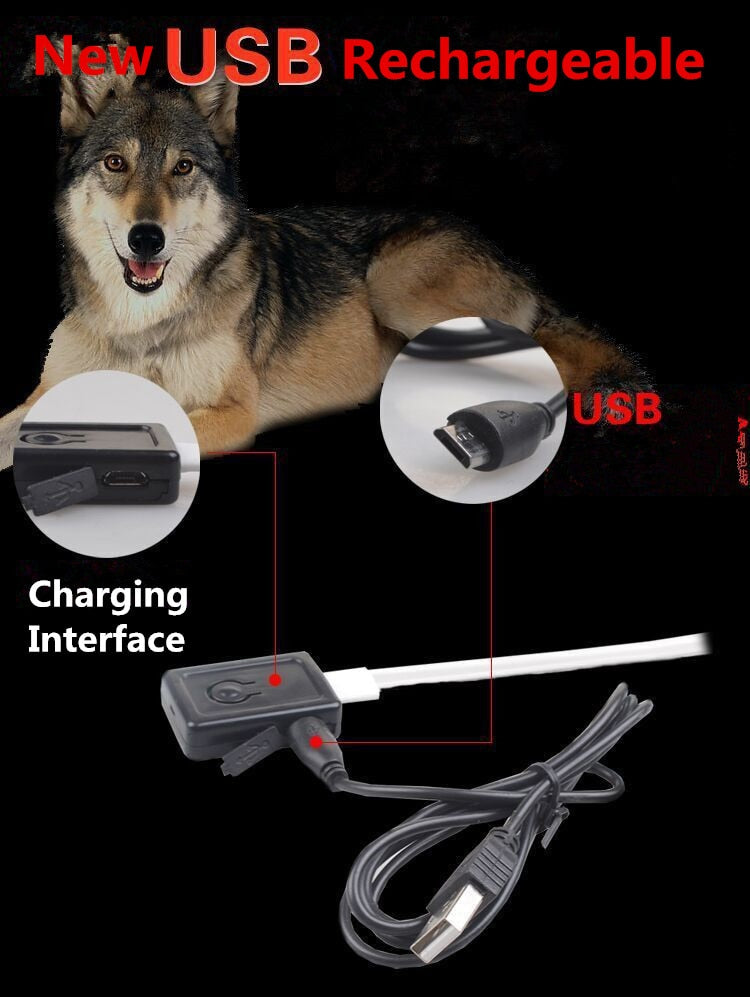 🐾 Collar LED Luminoso para Perros – Seguridad Nocturna Ajustable