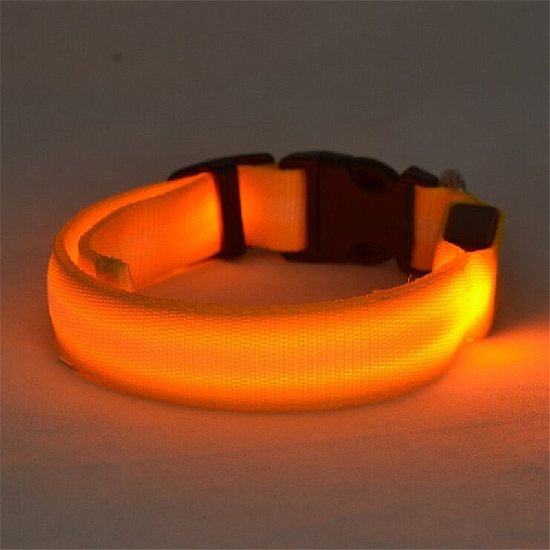 🐾 Collar LED Luminoso para Perros – Seguridad Nocturna Ajustable