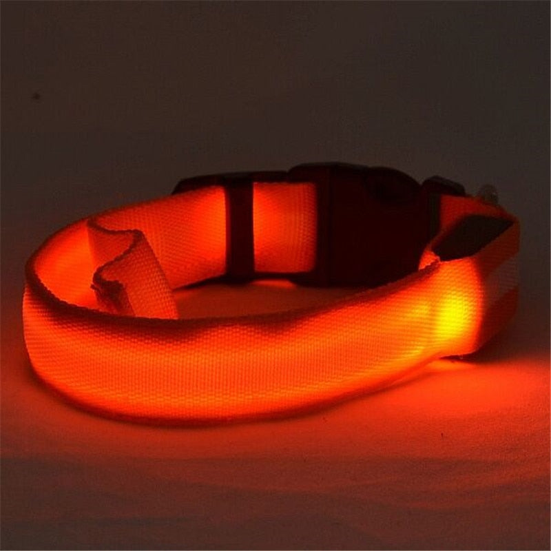 🐾 Collar LED Luminoso para Perros – Seguridad Nocturna Ajustable